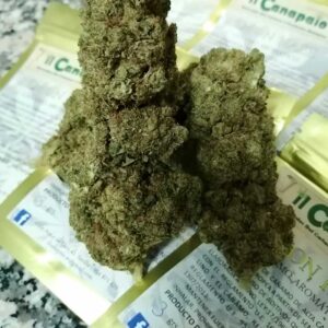 Lemon Haze - Imagen 2