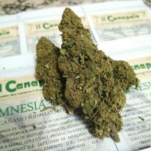 Amnesia CBD - Imagen 3