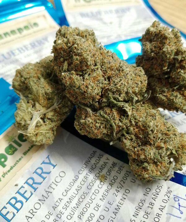 Blueberry