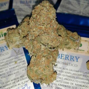 Blueberry - Imagen 2